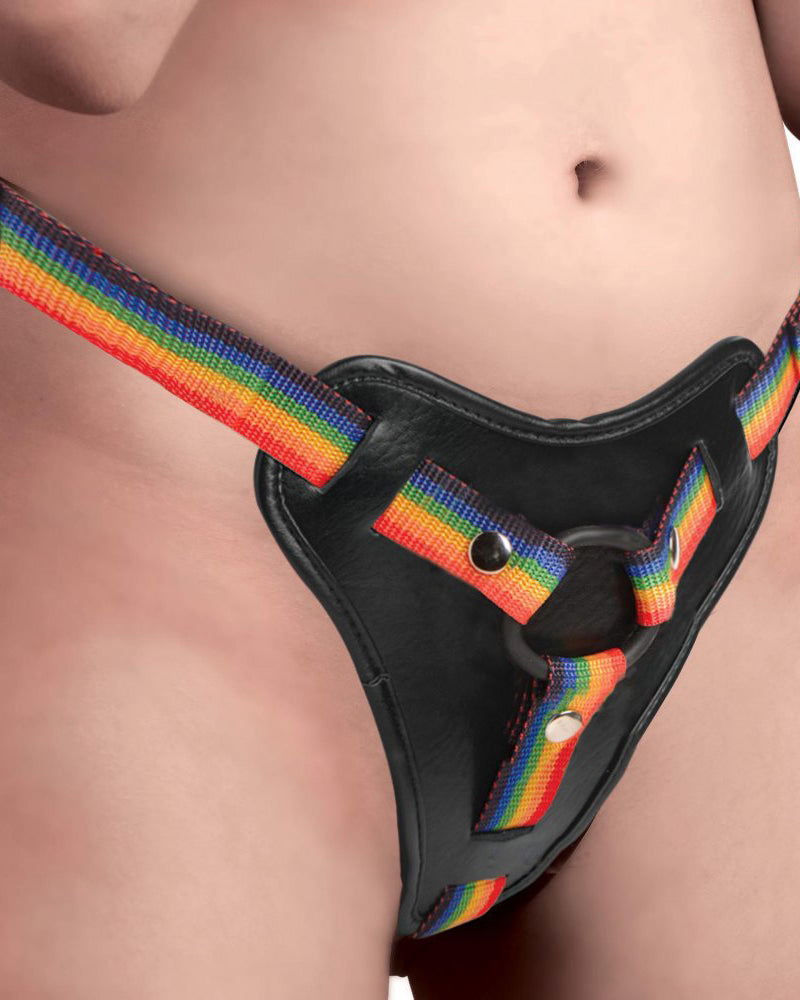 Take the Rainbow Universal Harness