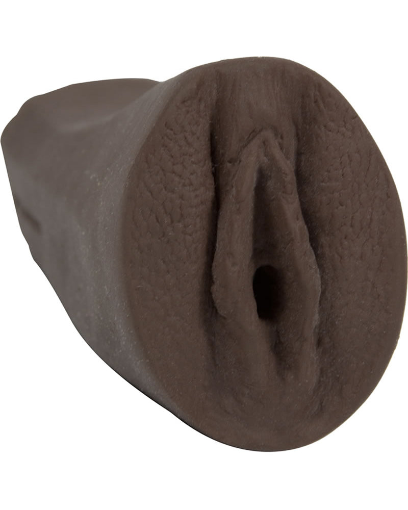 Señor Marcus Fluffer - Gatito