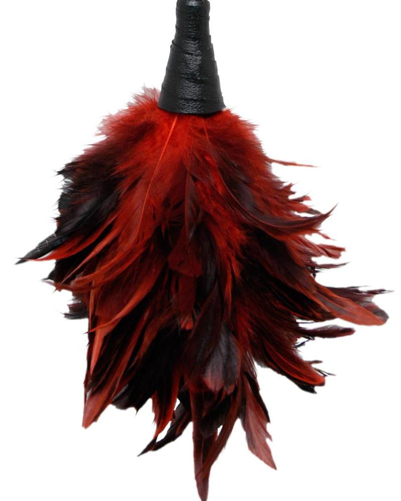 Plumero negro Frisky de Fetish Fantasy