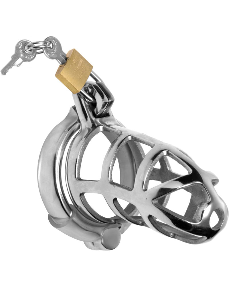 Master Series Detained Stainless Steel Locking Chastity Cage Metal