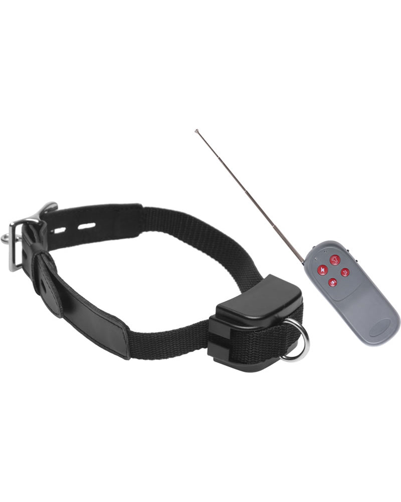 Collar antichoque Master Series Kanine Kollection Jolt, color negro