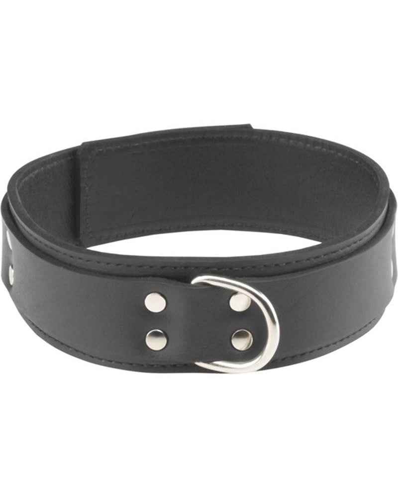 Collar de 1 1/2" de grosor - Correa doble Corte original