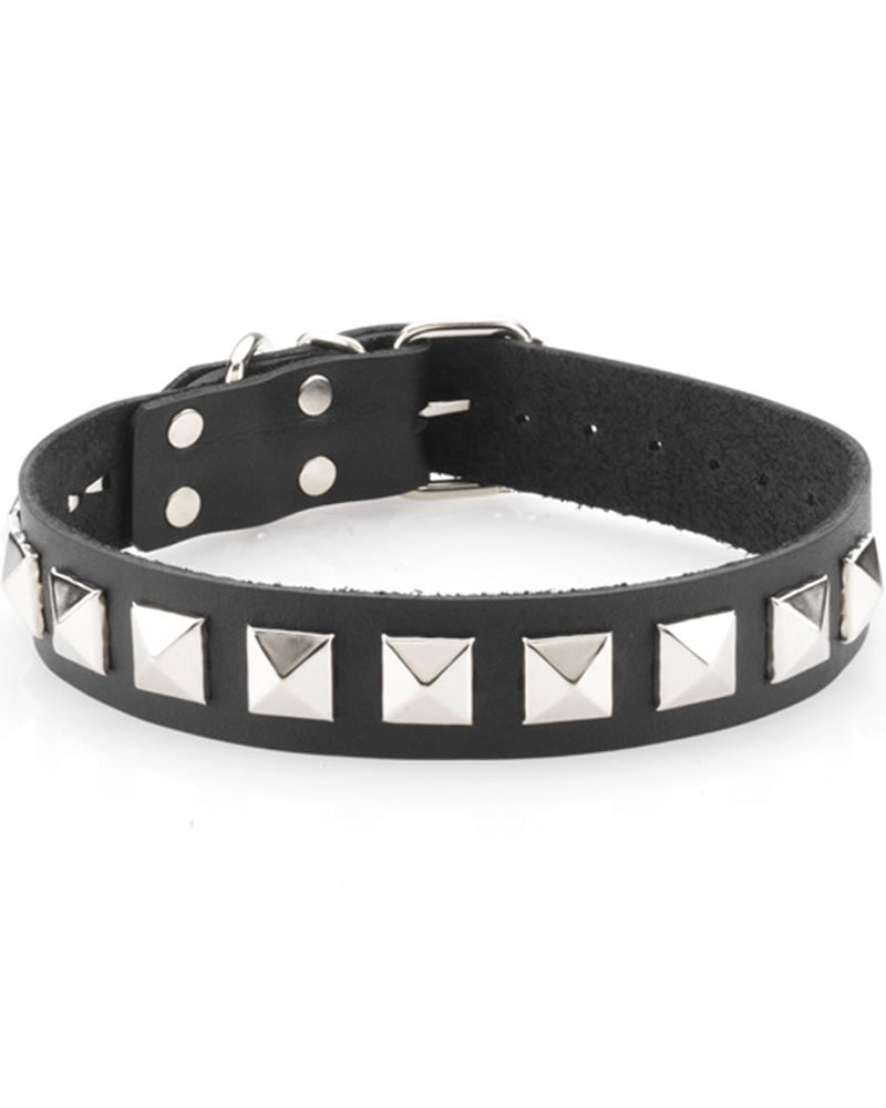 Collar - Correa única con tachuelas