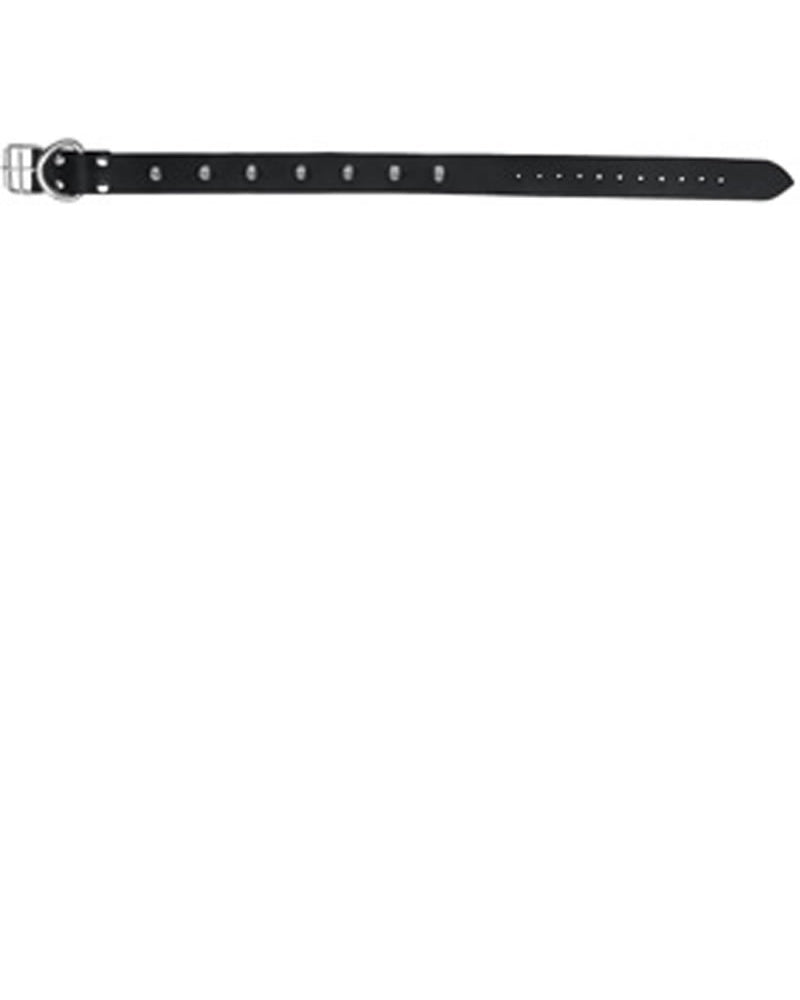 Collar - Correa única con tachuelas