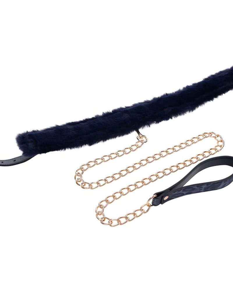 Cougar Fur Collar and Leash