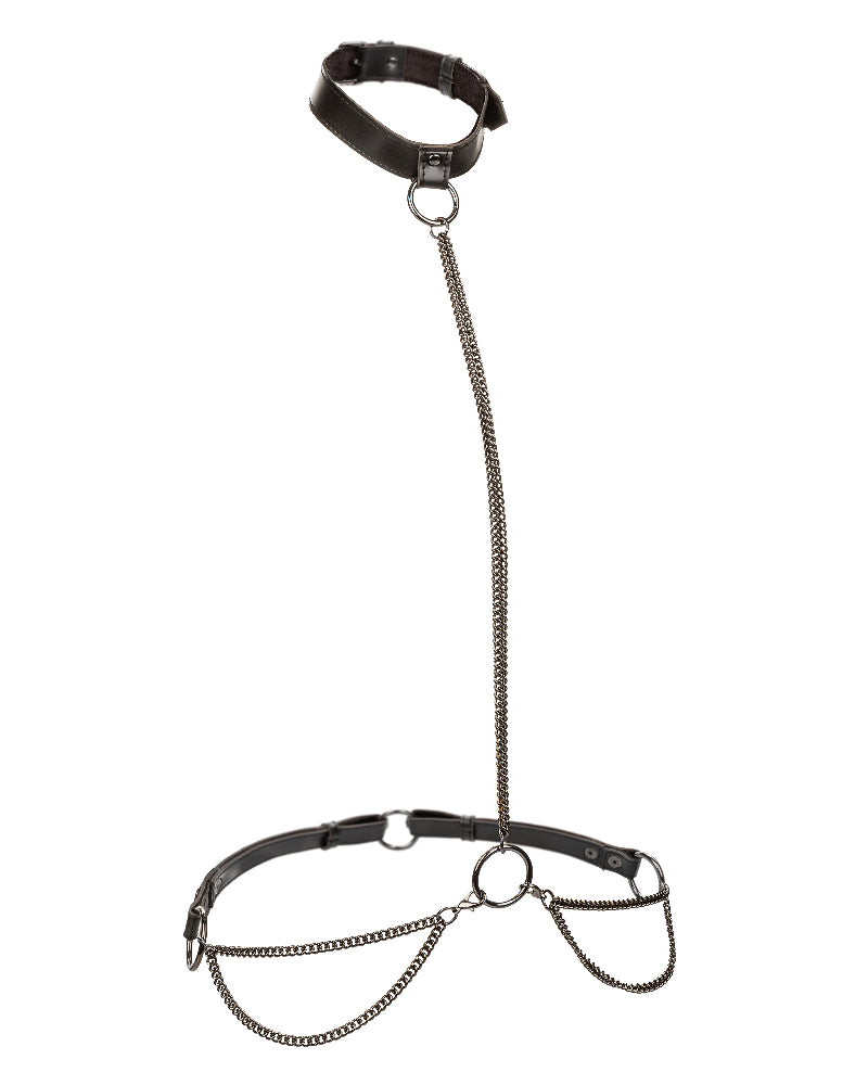 Euphoria Collection Plus Size Chain Halter/collar and Leash - Black