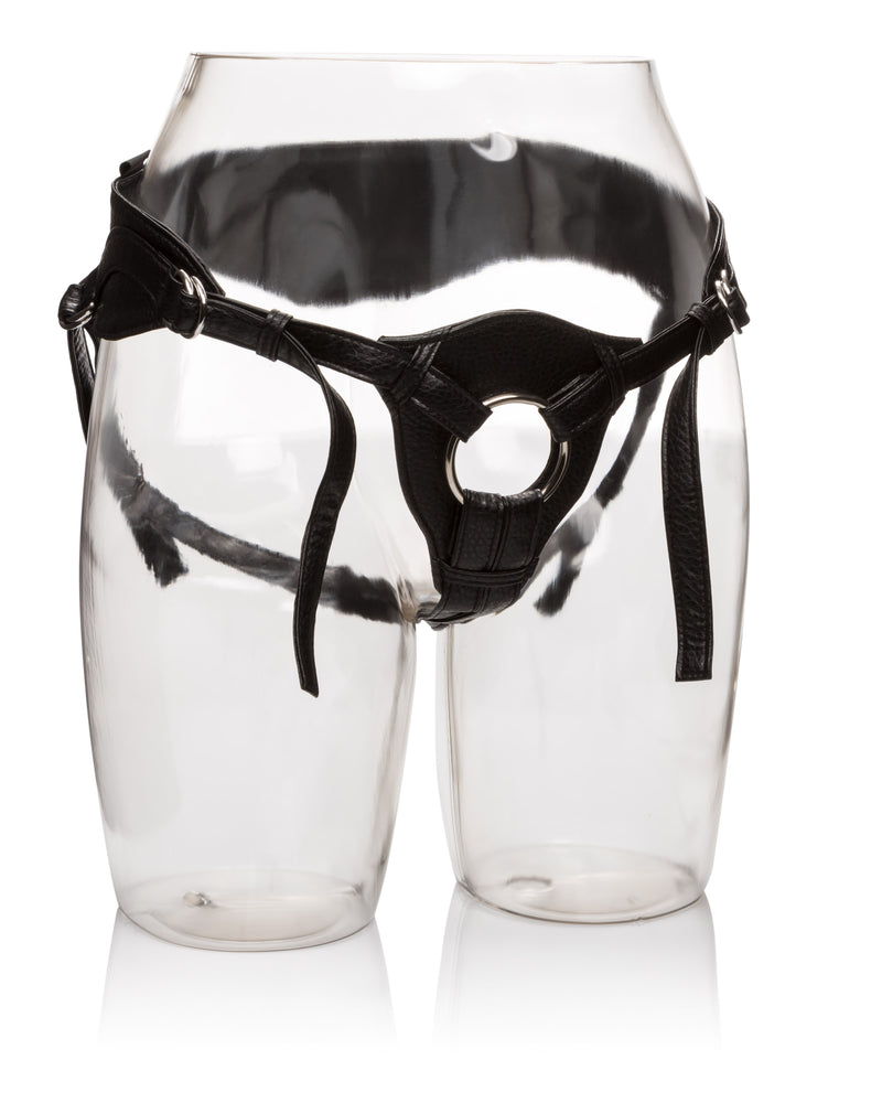 Her Royal Harness the Queen - Boxed