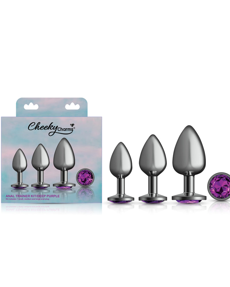 Cheeky Charms - Metal Butt Plug Gunmetal - Round - Deep Purple - Anal Trainer Kit