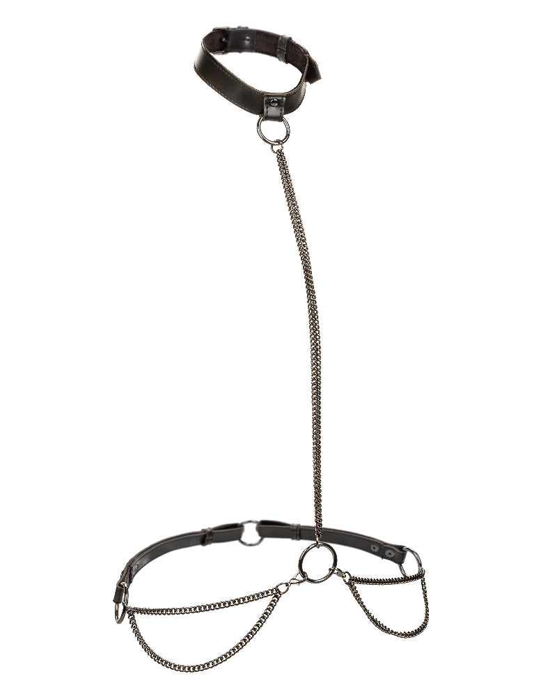 Euphoria Collection Chain Halter/collar and Leash - Black