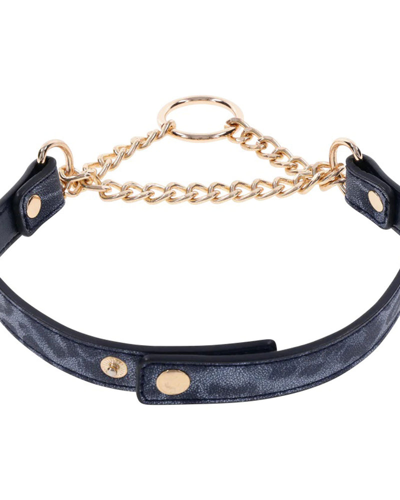 "Cougar Day Collar SS09974"