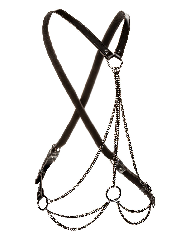 Euphoria Collection Multi Chain Harness - Black