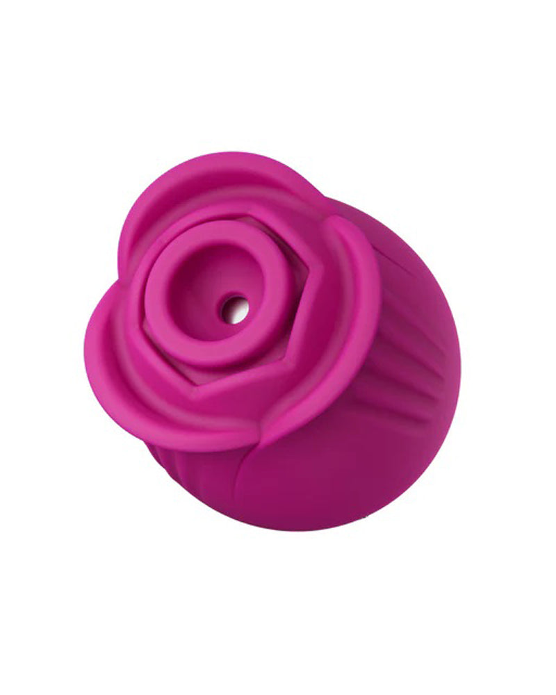 "Blush Collection the Original Blush Rose - Velvet BL-25600"