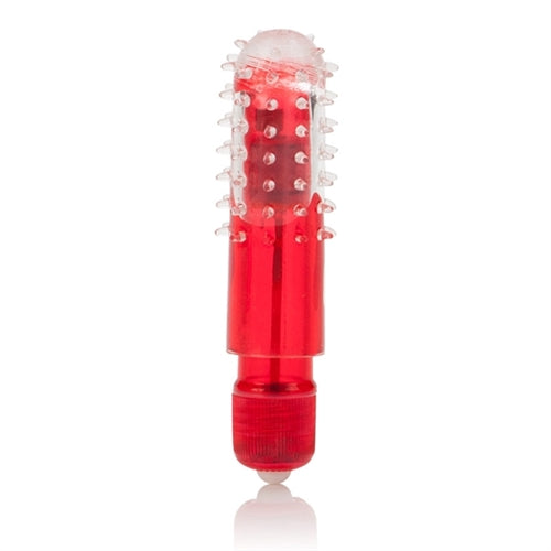 "Travel Baster - Red SE0070352"