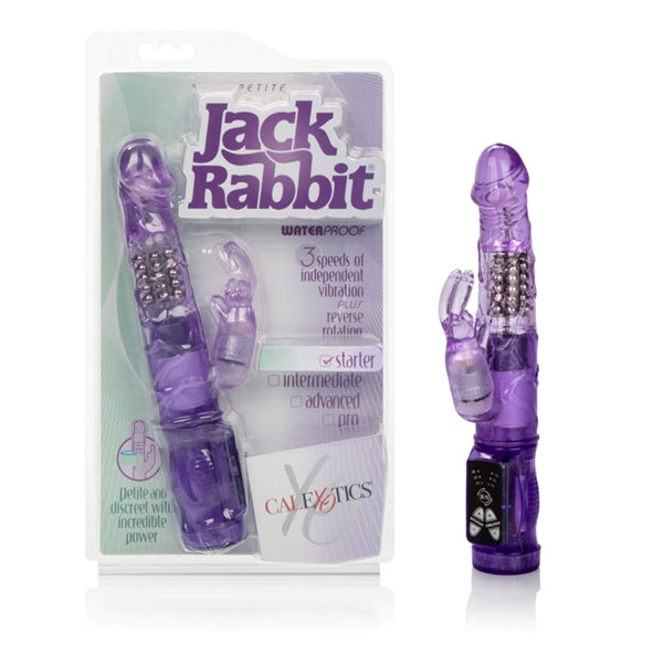 "Petite Jack Rabbit - Purple SE0610402"