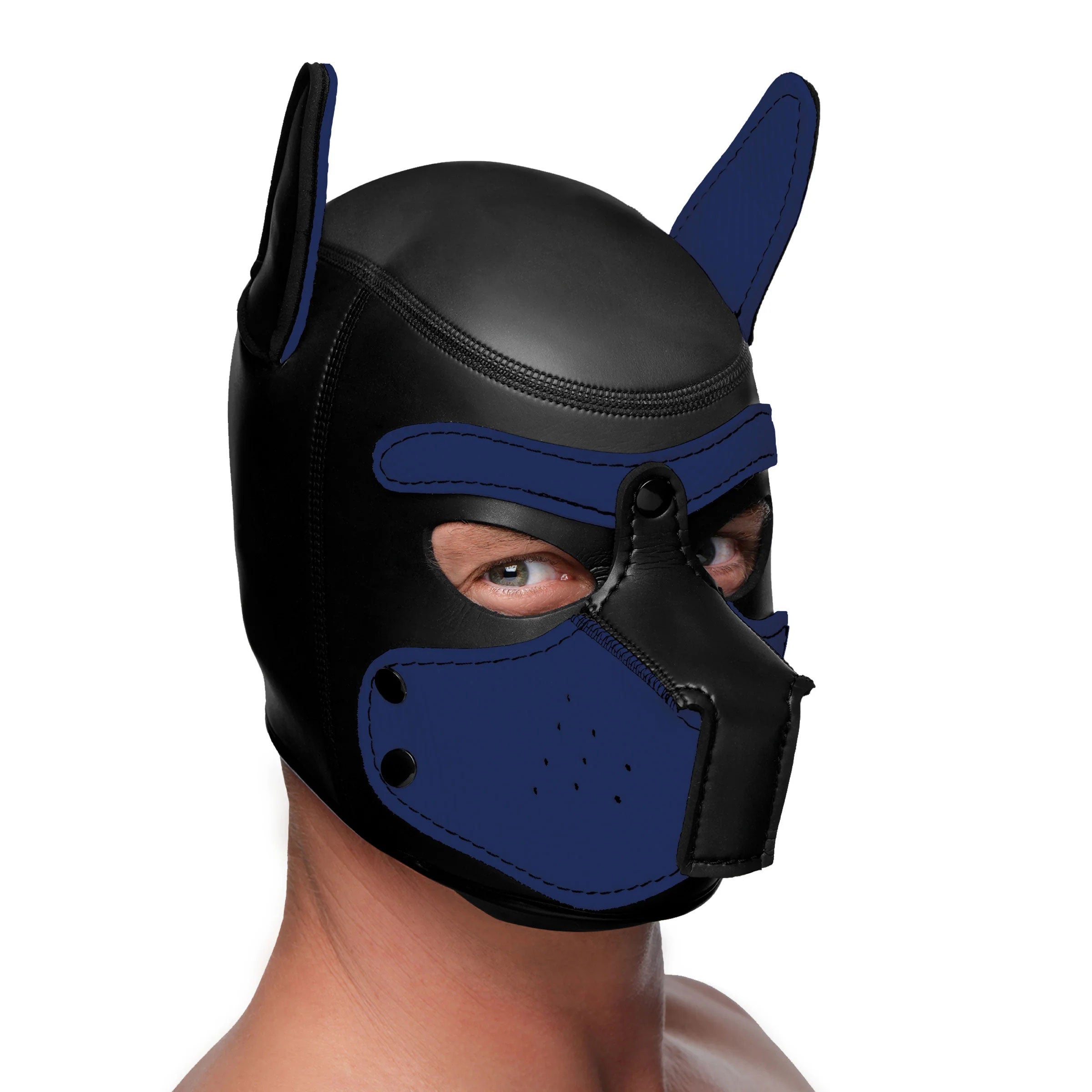 "Spike Neoprene Puppy Hood - Blue MS-AG292-BLU"