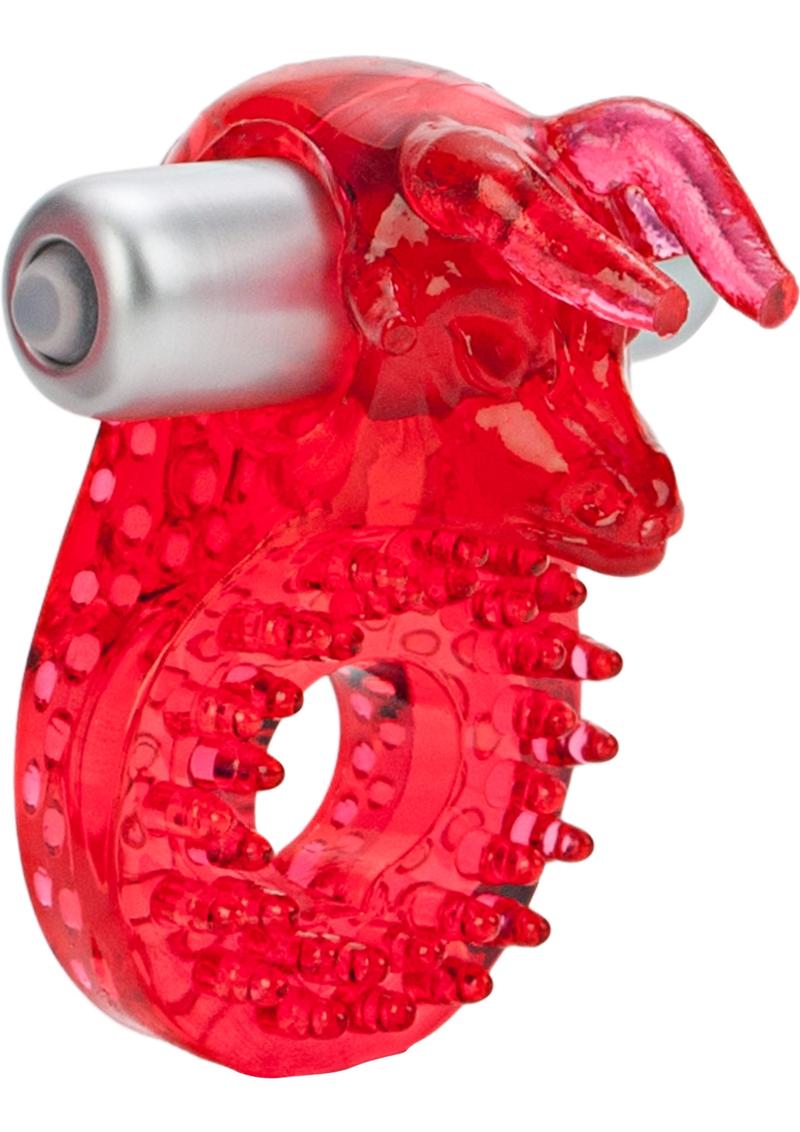 Jesse’s Raging Bull