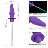 Southern Lights - Vibrating Light Up Anal Probe - Purple