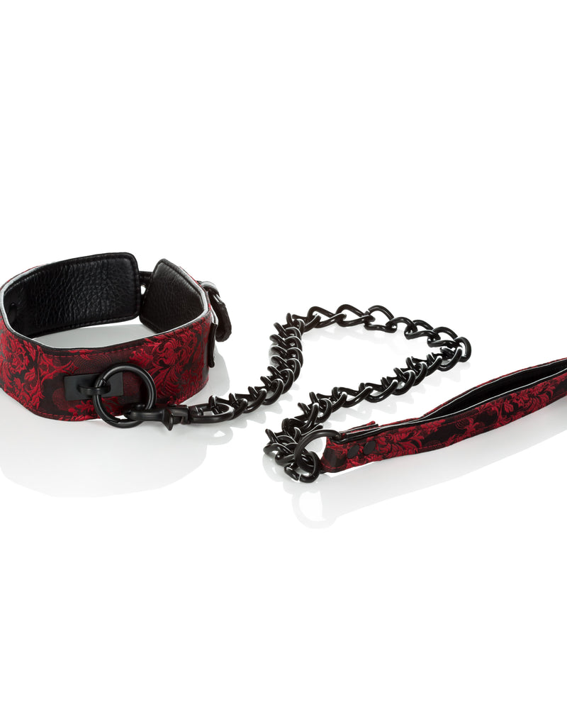 Scandal Collar With Leash