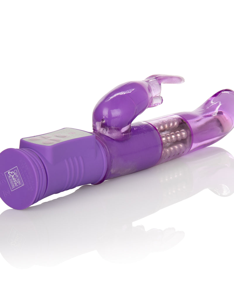 "Shanes World Jack Rabbit G - Purple SE0685252"