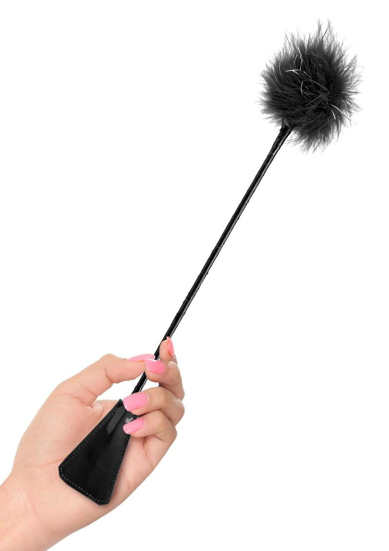 Cultivo de plumas de fantasía fetichista negro