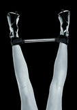 Fetish Fantasy Spreader Bar Limited Edition