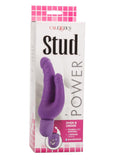 Power Stud Over and Under Vibrator Waterproof Purple