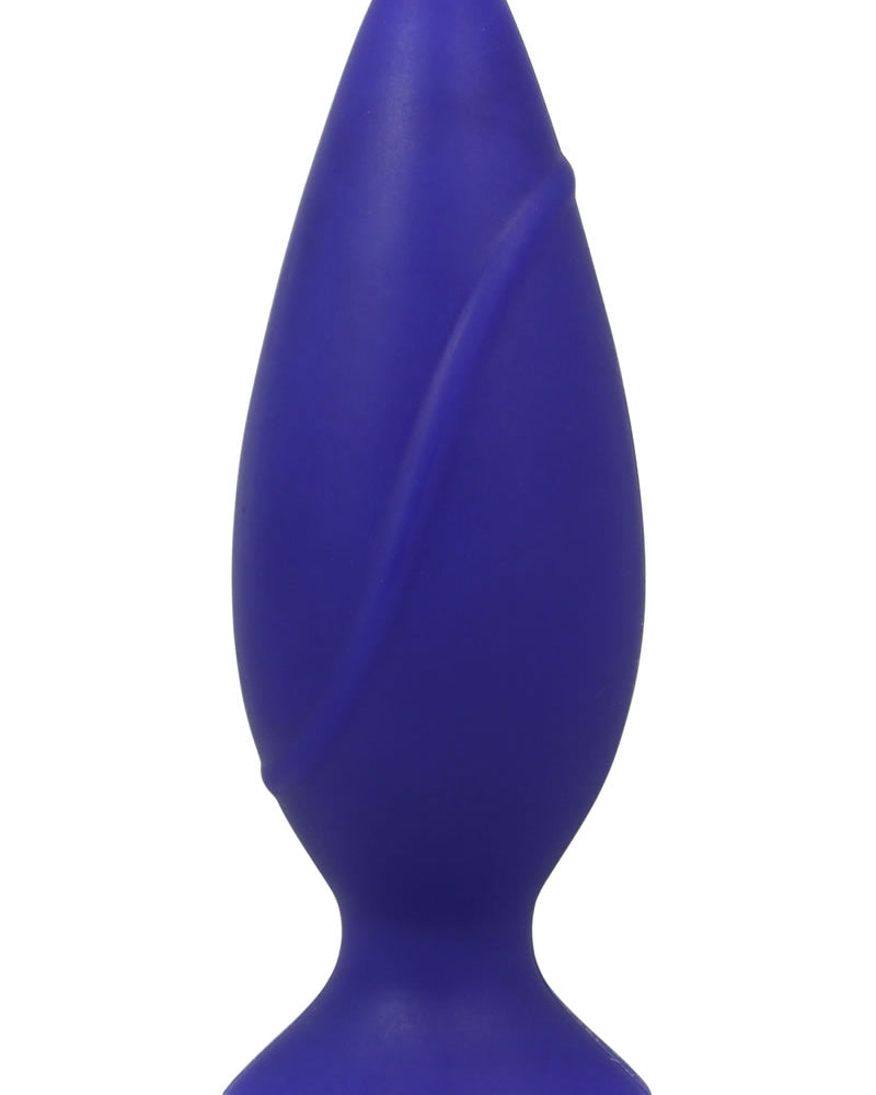 Corked Silicone Anal Plug Waterproof Medium Blue