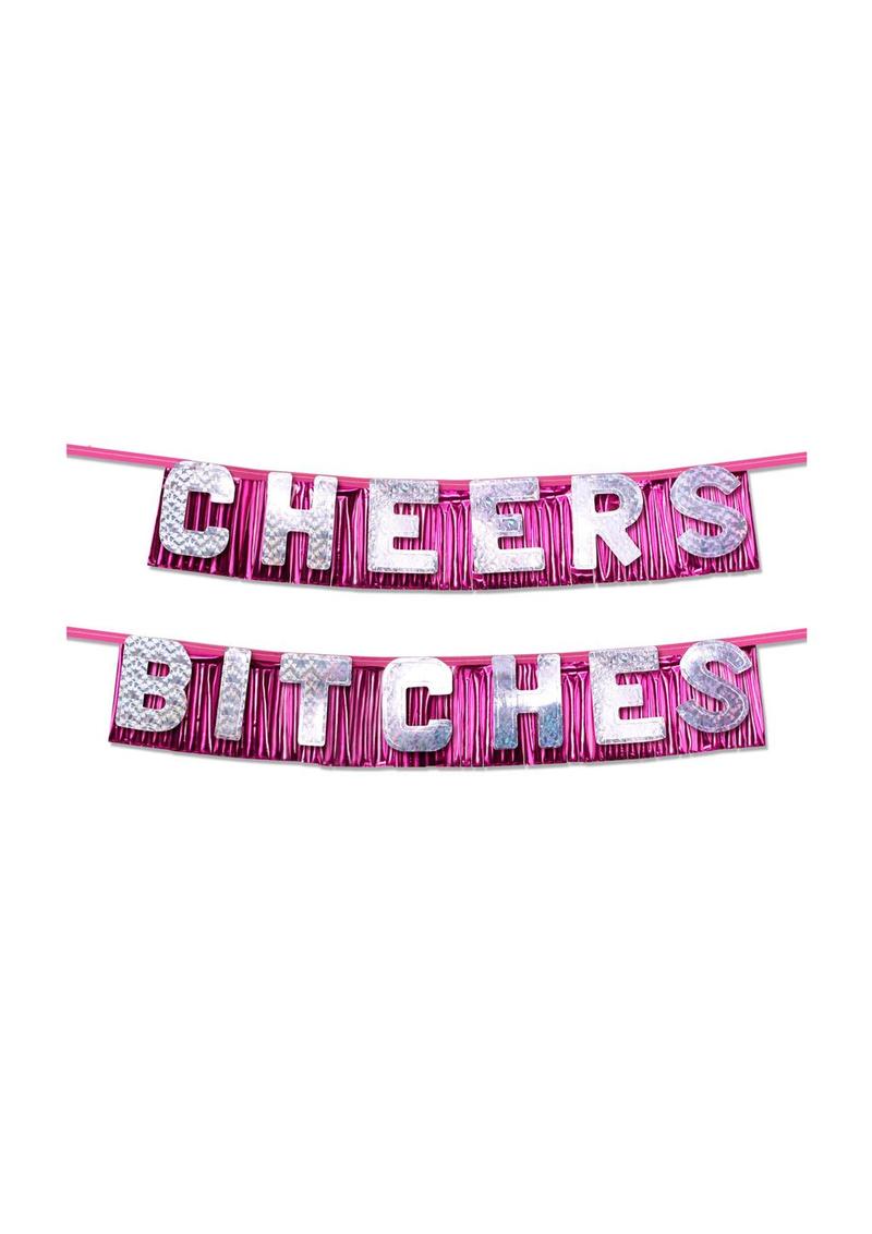 Bachelorette Party Cheers Bitches Party Banner