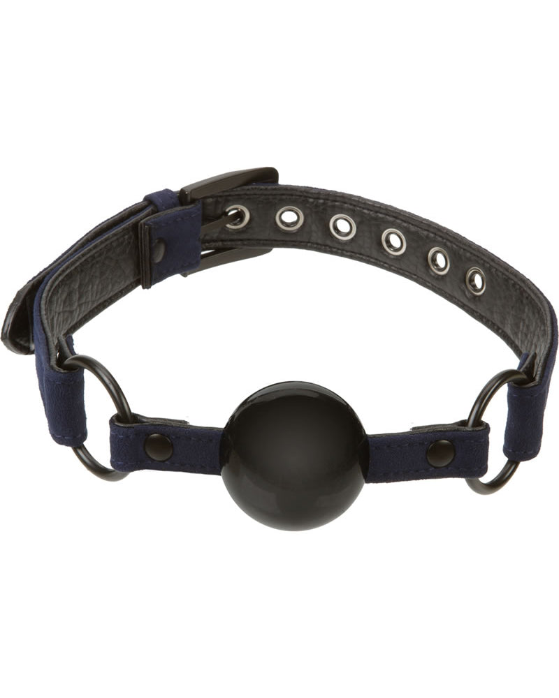 Mordaza de bola silenciosa negra y azul de James Deen