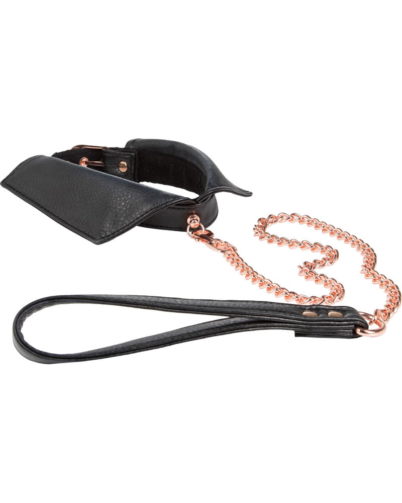 Entice Chelsea Collar With Leash