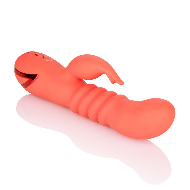 "California Dreaming Orange County Cutie SE4350353"