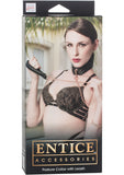 Entice Posture Collar With Leash Black Adjustable