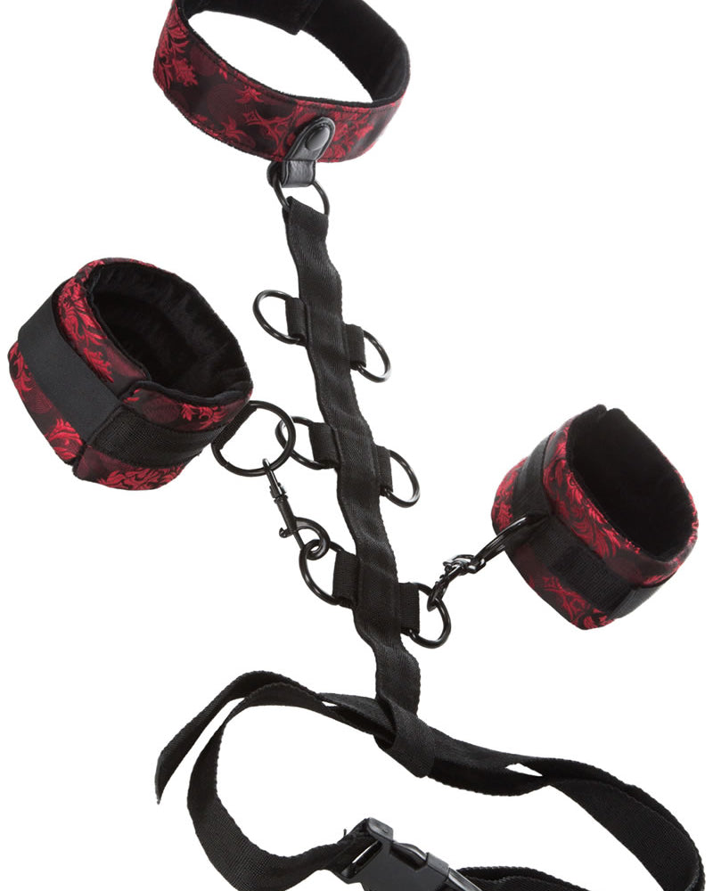 Scandal Collar Body Restraint