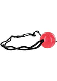 Frisky Apprentice Ball Gag