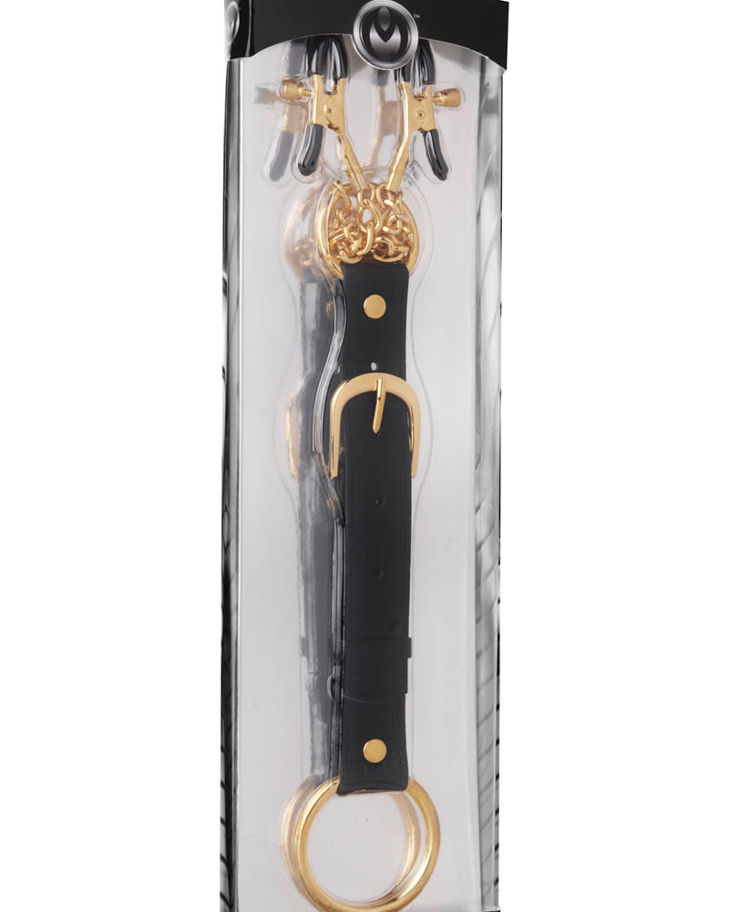 Master Series Penitentiary Nipple Clamps And Cockring