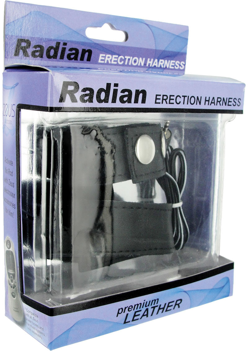 Candb Dual Strap Leather