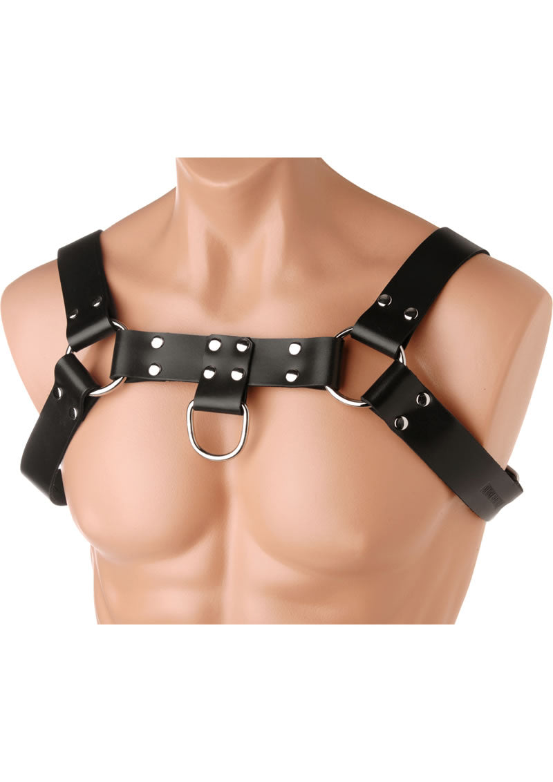 English Bull Dog Harness Leather And Metal Black