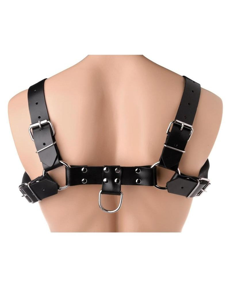 English Bull Dog Harness Leather And Metal Black