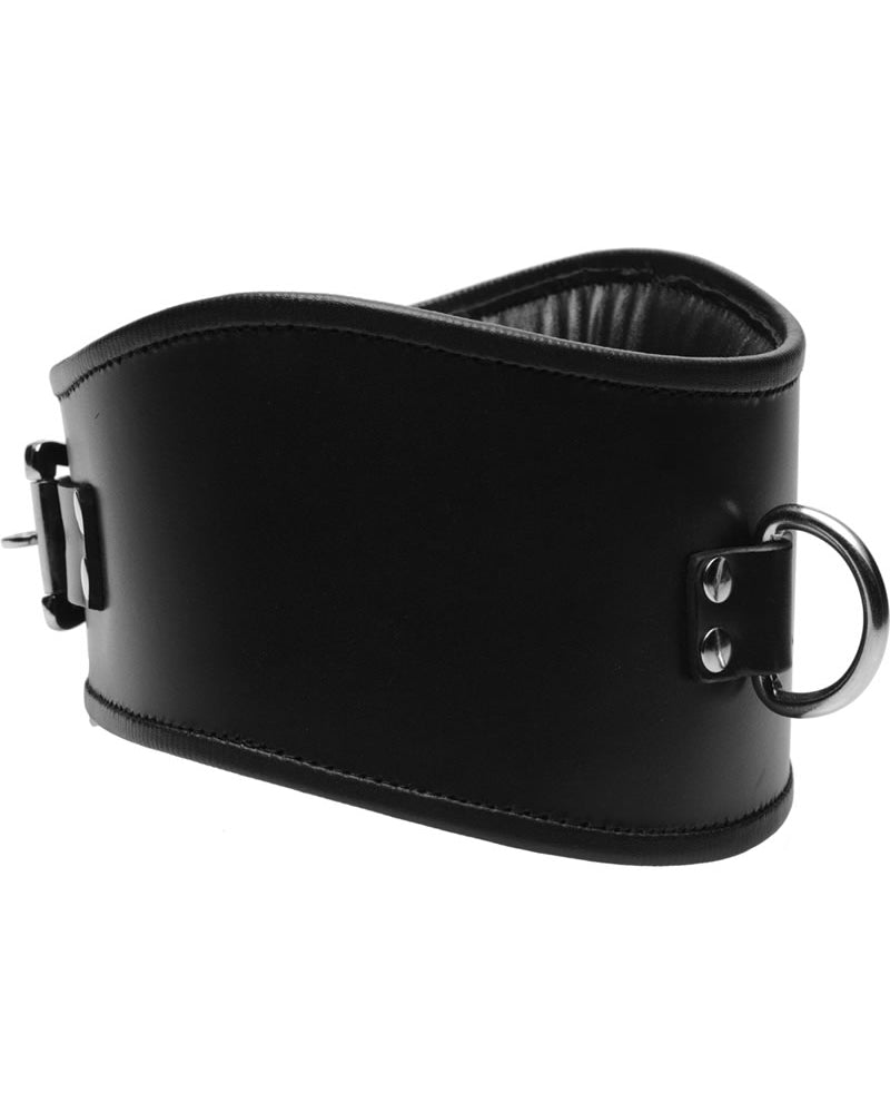 Collar de postura con cierre de cuero acolchado