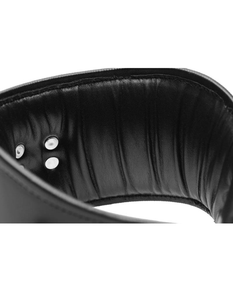 Collar de postura con cierre de cuero acolchado