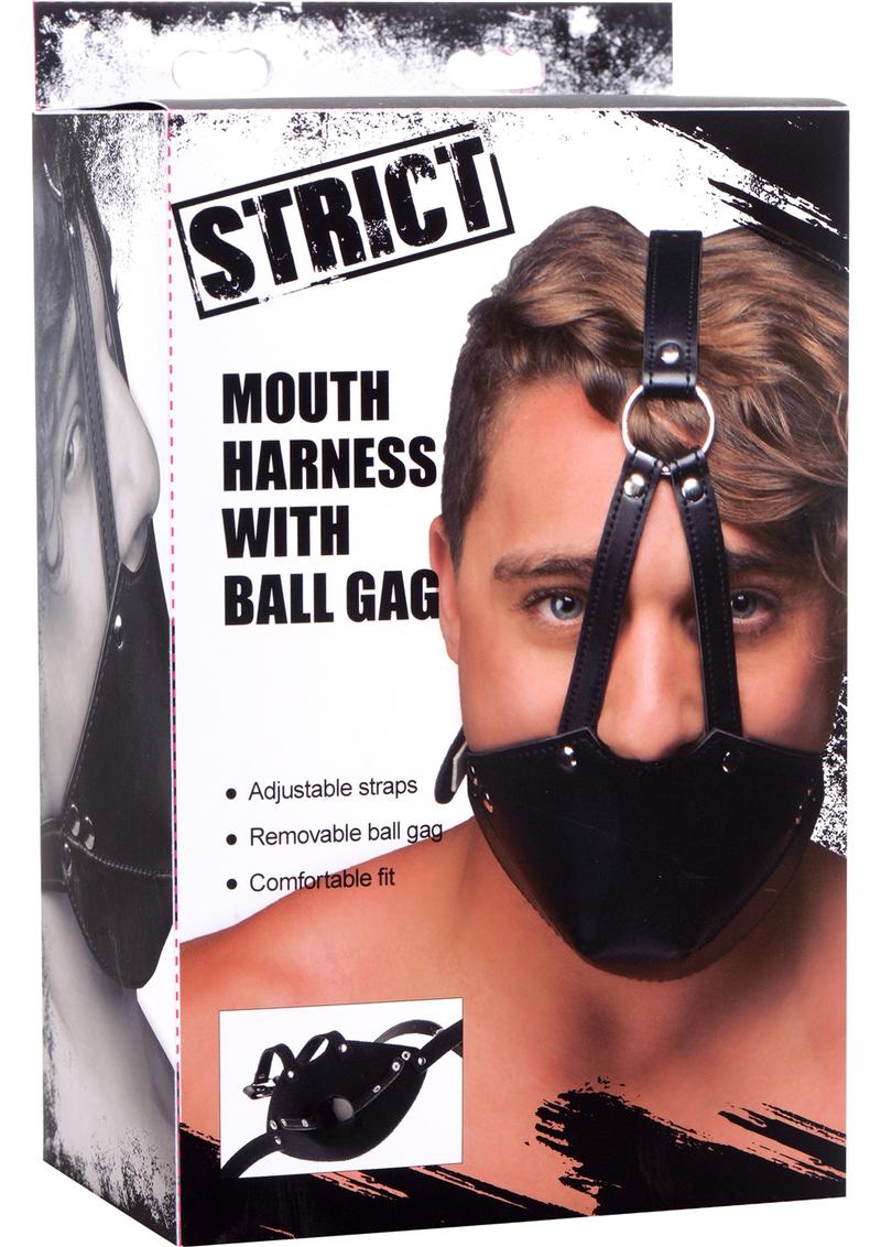 Strict Mouuth Harness With Ball Gag