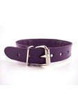 Rouge O Ring Studded Leather Collar Purple