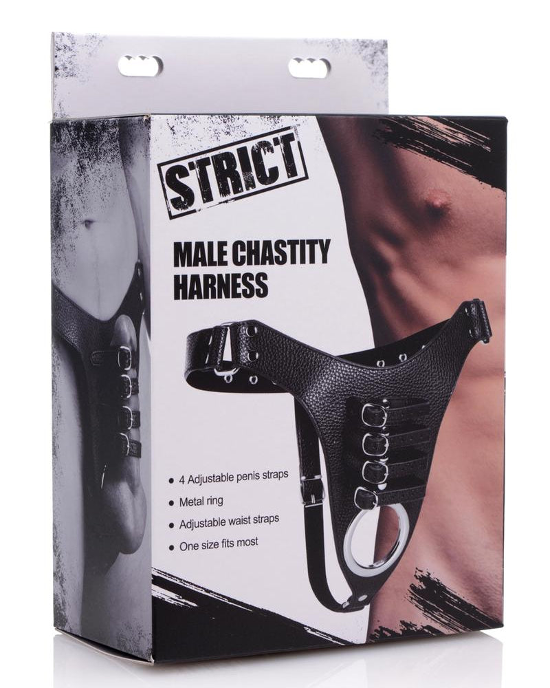 Strict Male Chastity Harness