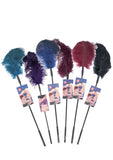 Combo de cosquilleo con plumas de avestruz