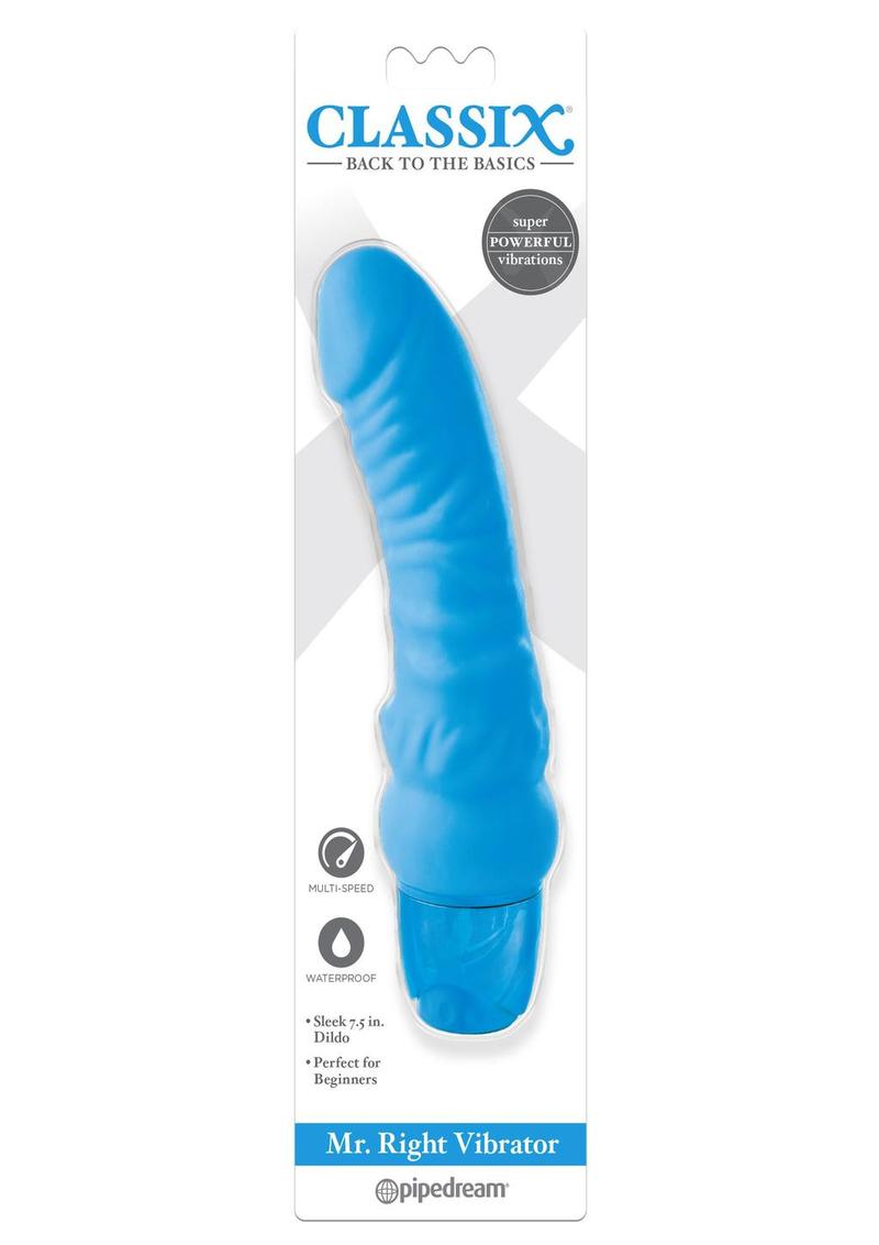 Mr Right Vibrator Blue Waterproof Multi Speed