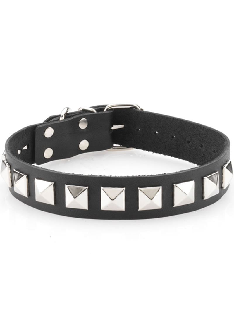 Collar - Single Strap Studded