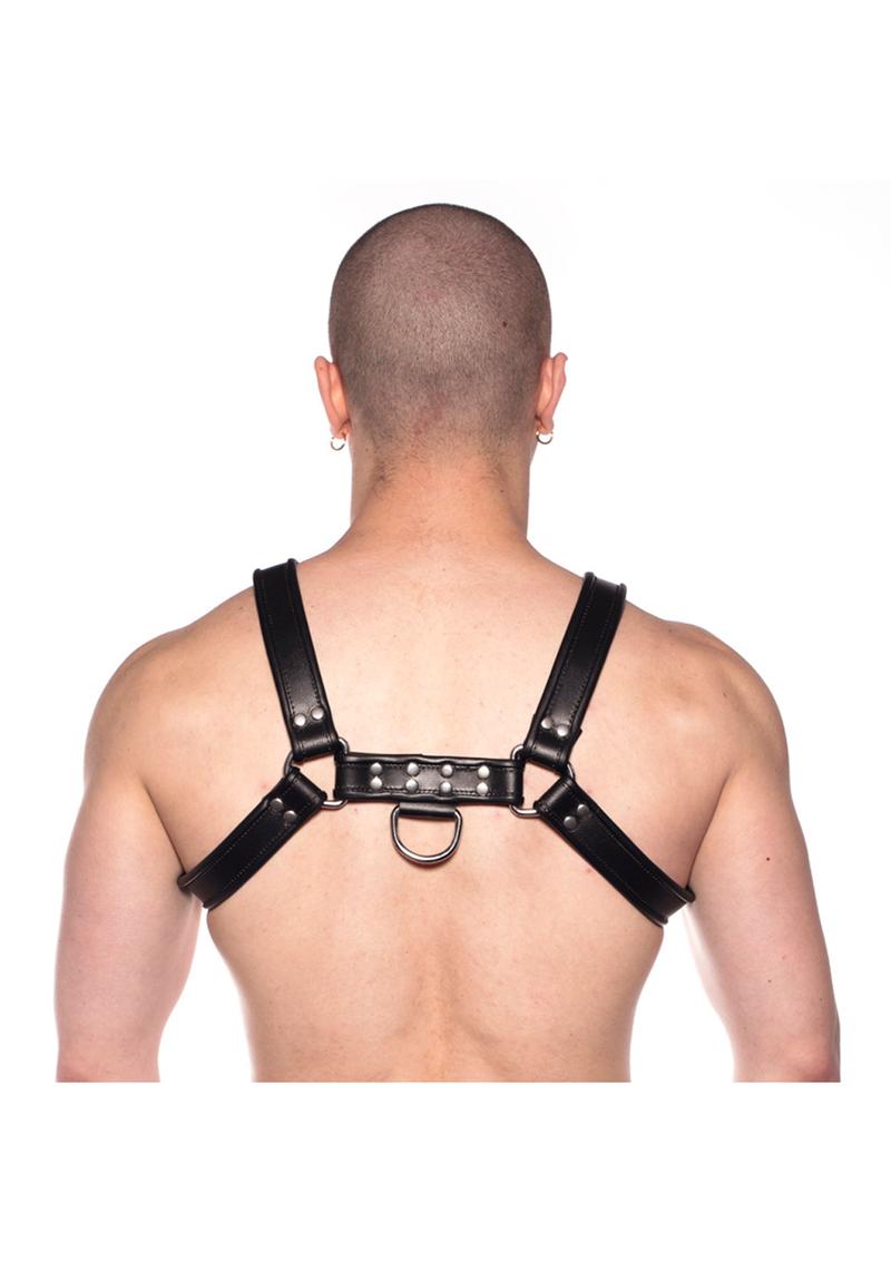 Prowler Red Bull Harness Black Xlarge