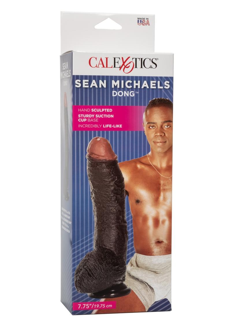 Sean Michaels, 10 años