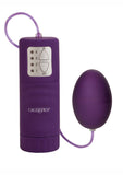 Pocket Exotics - Egg Waterproof