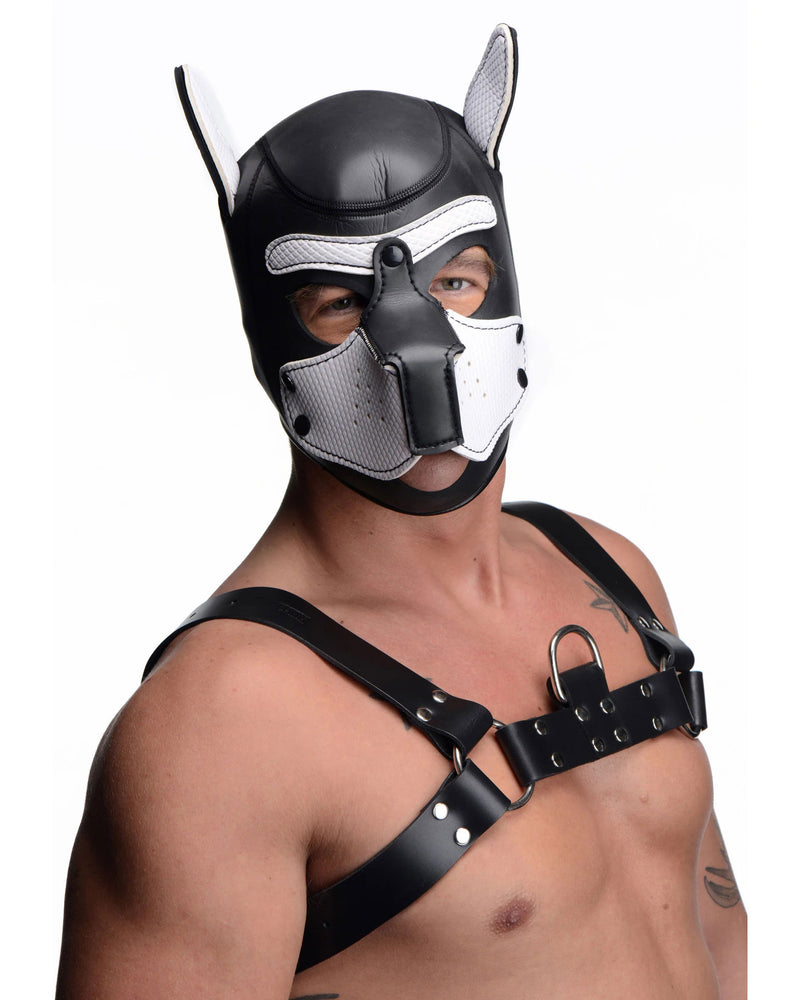 "Spike Neoprene Puppy Hood - White MS-AG292-WHT"